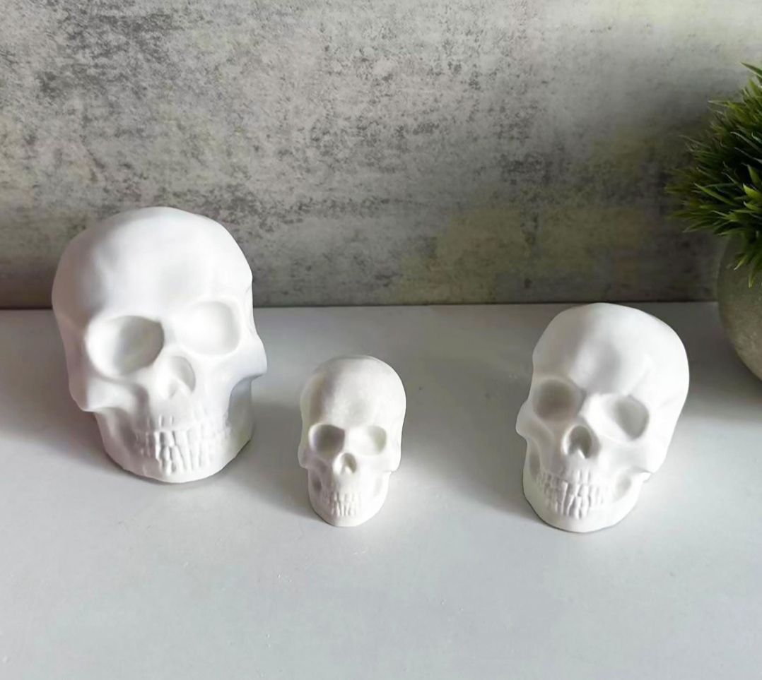 3D Schädel in 3 verschiedenen Größen