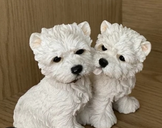 Westhighland Terrier Pärchen